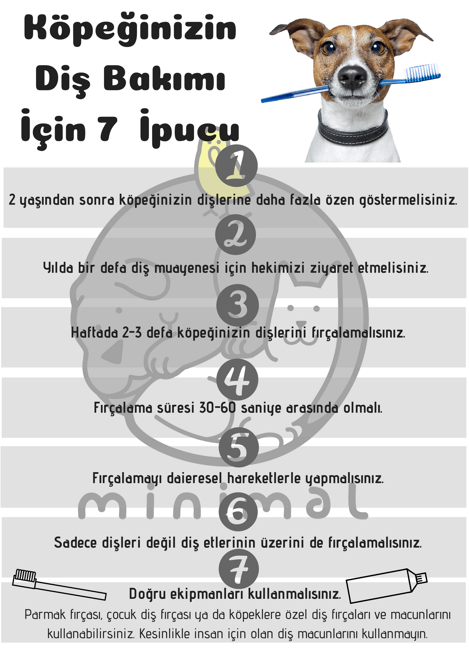 Köpeklerde Ağız ve Diş Sağlığı